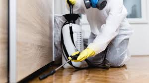 Best Indoor Pest Control  in Willamina, OR