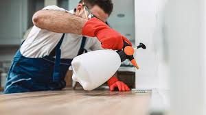 Best Termite Inspection and Treatment  in Willamina, OR